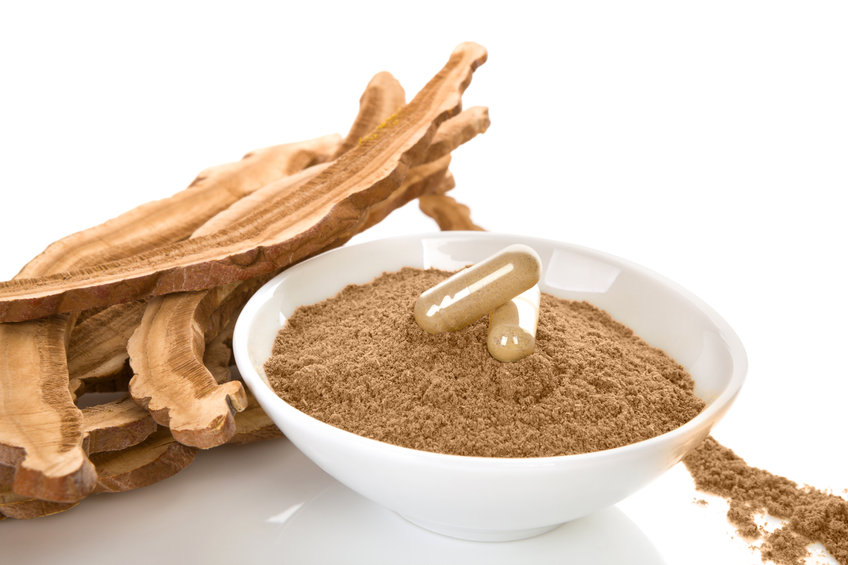 Reishi ve formě kapslí